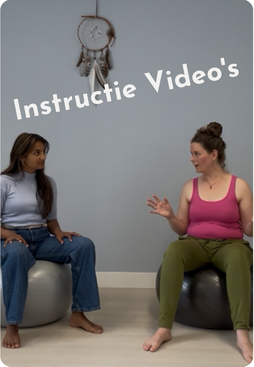 Instructie video